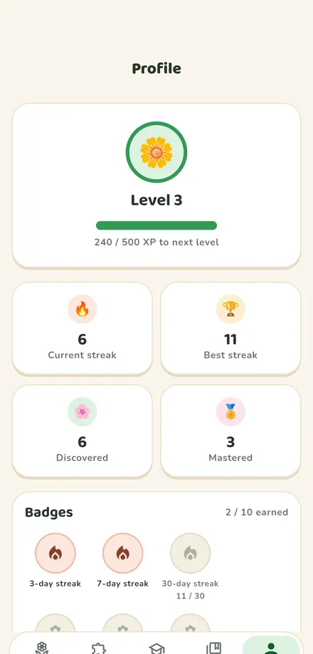 Profile and streak screen