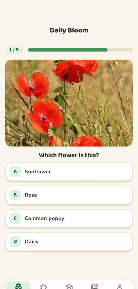 Guess the flower quiz screen